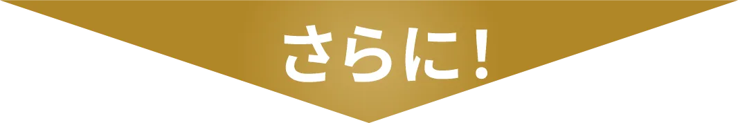 さらに!