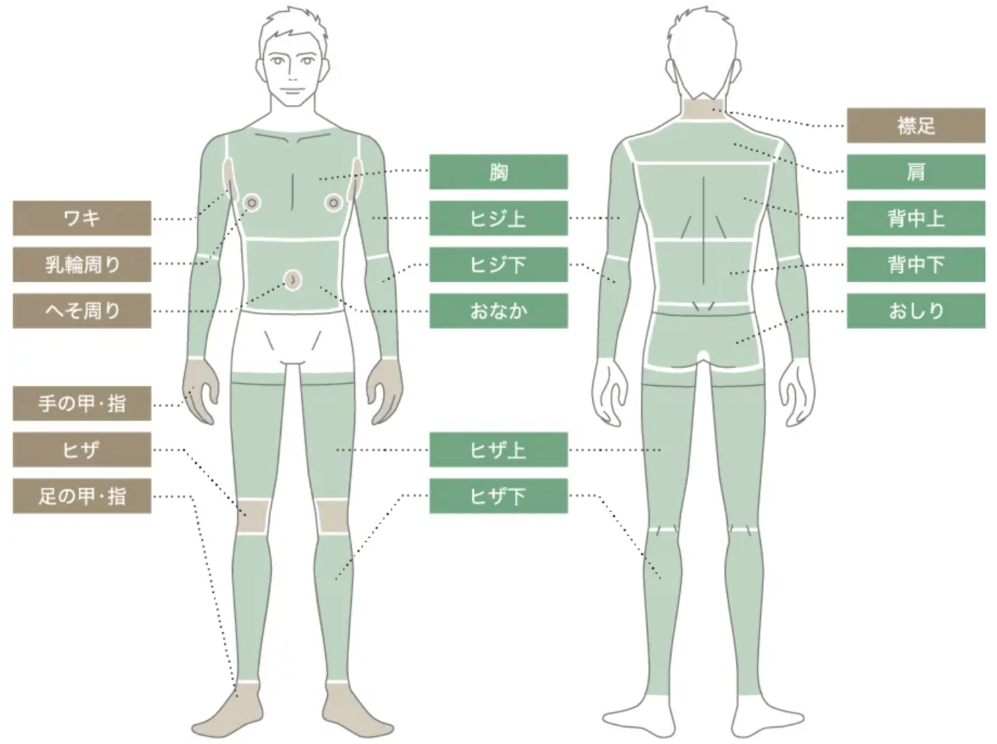 脱毛サロン_メンズ_全身脱毛_レイロール_初回限定価格