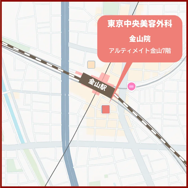 東京中央美容外科 金山院 アクセス画像