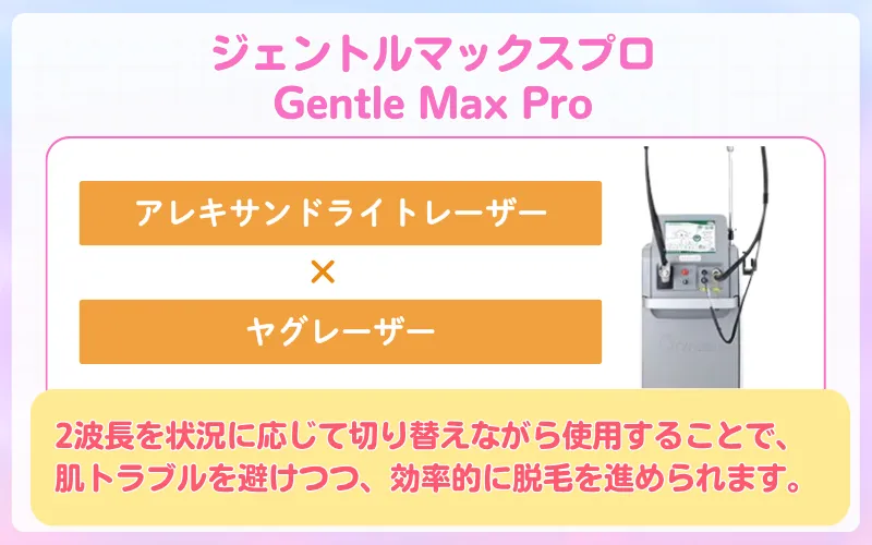 ジェントルマックスプロ　解説