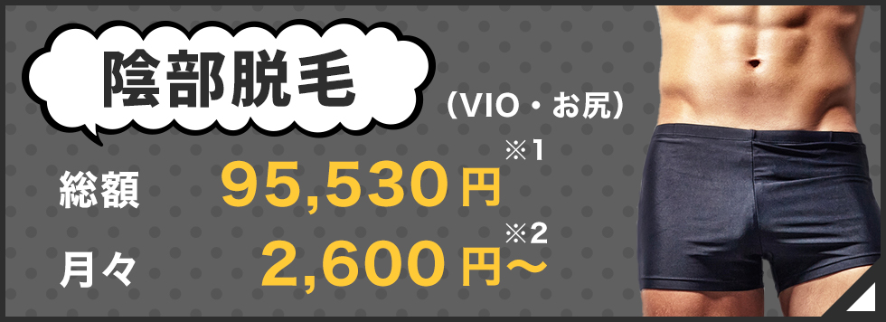 陰部脱毛 総額95,530円※1 月々2,600円〜※2