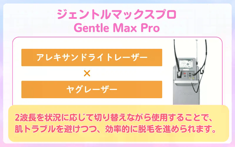 ジェントルマックスプロ 解説