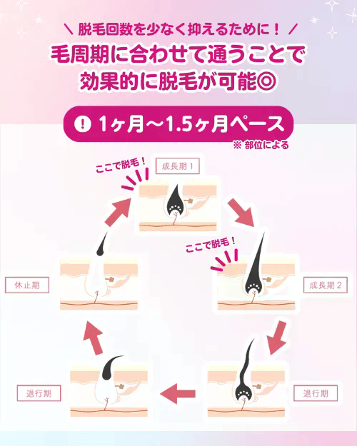 医療脱毛_安い_毛周期